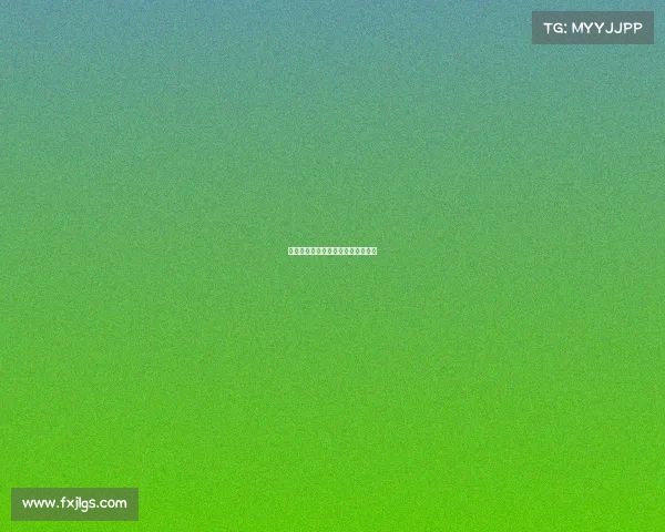 拳击最高级赛事—拳击最高级别赛事